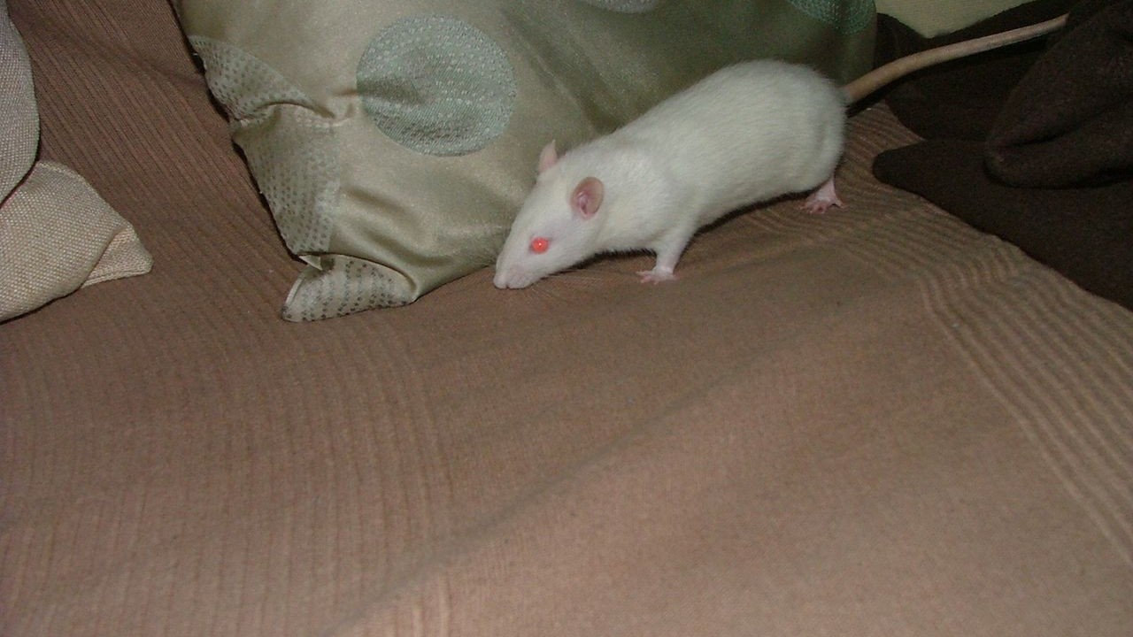 DSCF6757.JPG