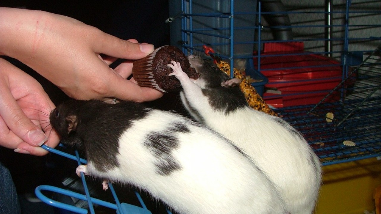 DSCF4110.JPG