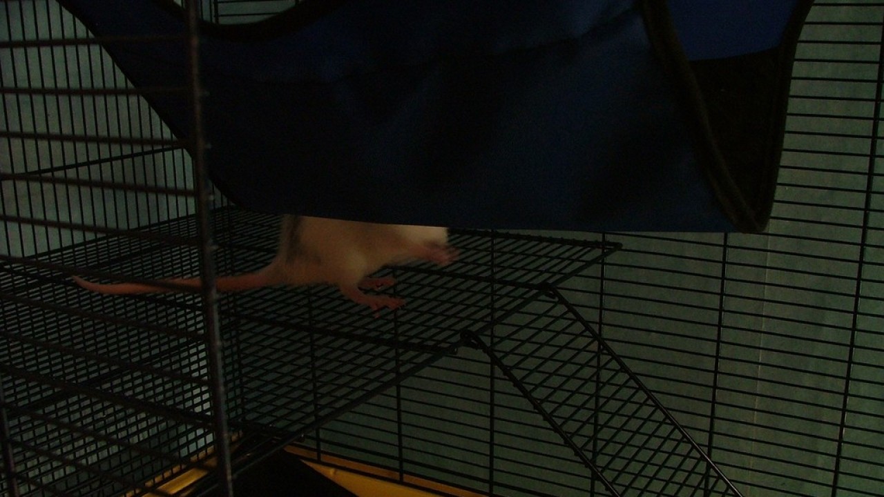 DSCF1528.JPG