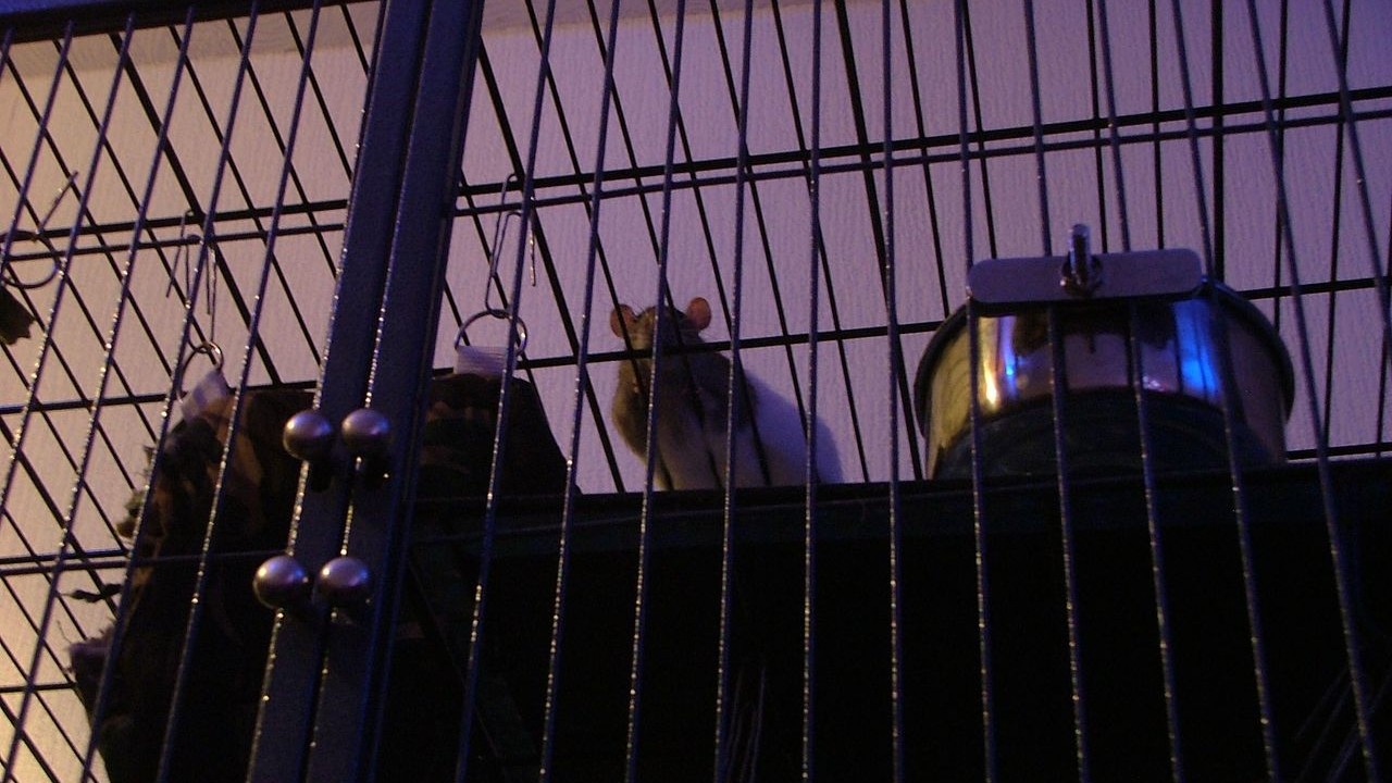 DSCF6696.JPG
