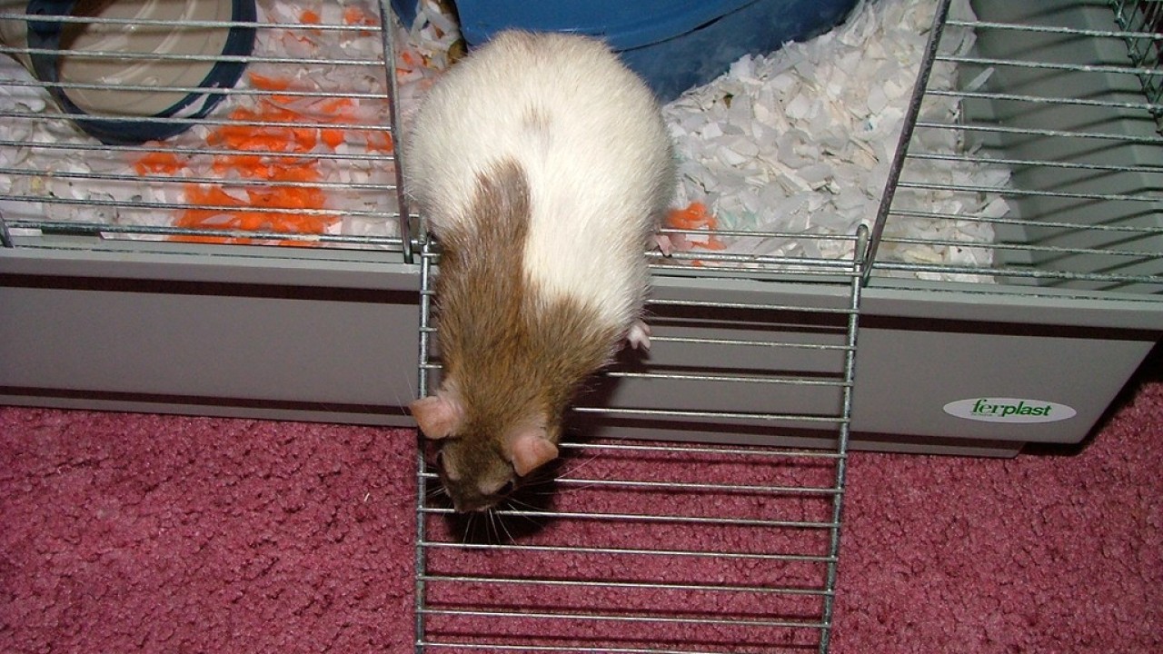 DSCF3144.JPG