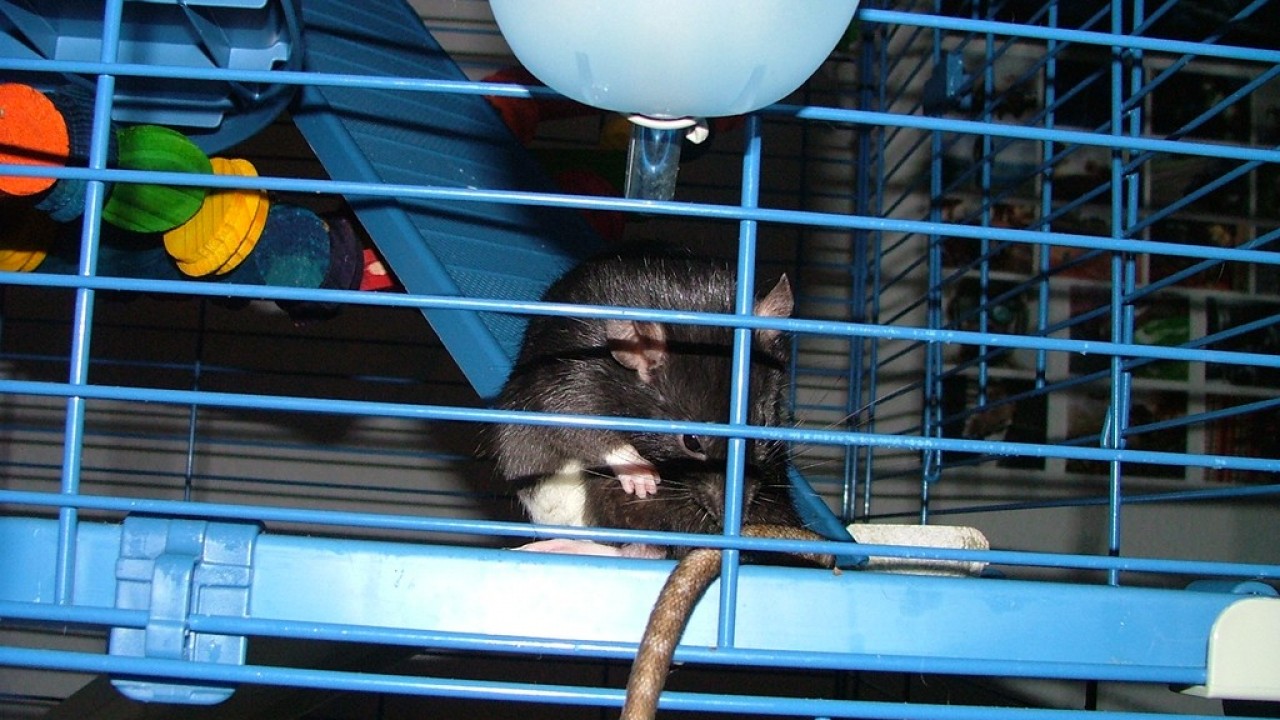 DSCF3776.JPG