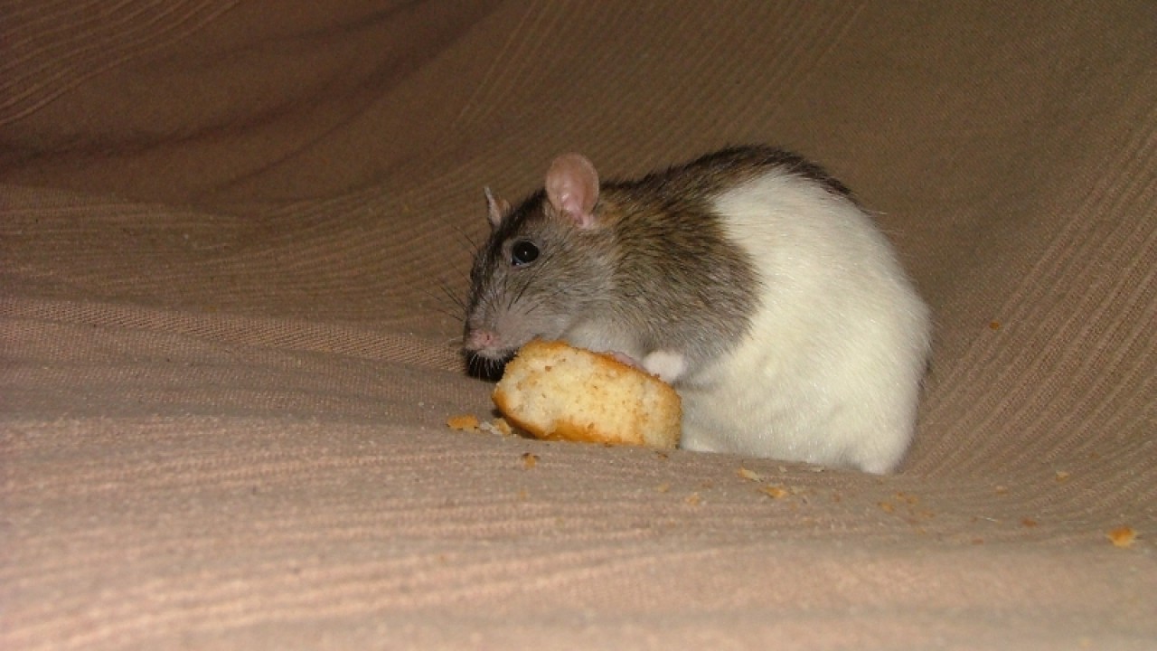 dscf6925.jpg