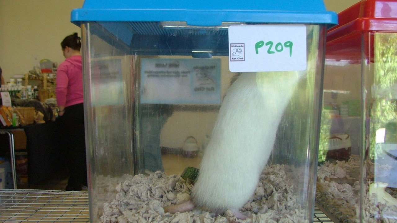 DSCF4034.JPG