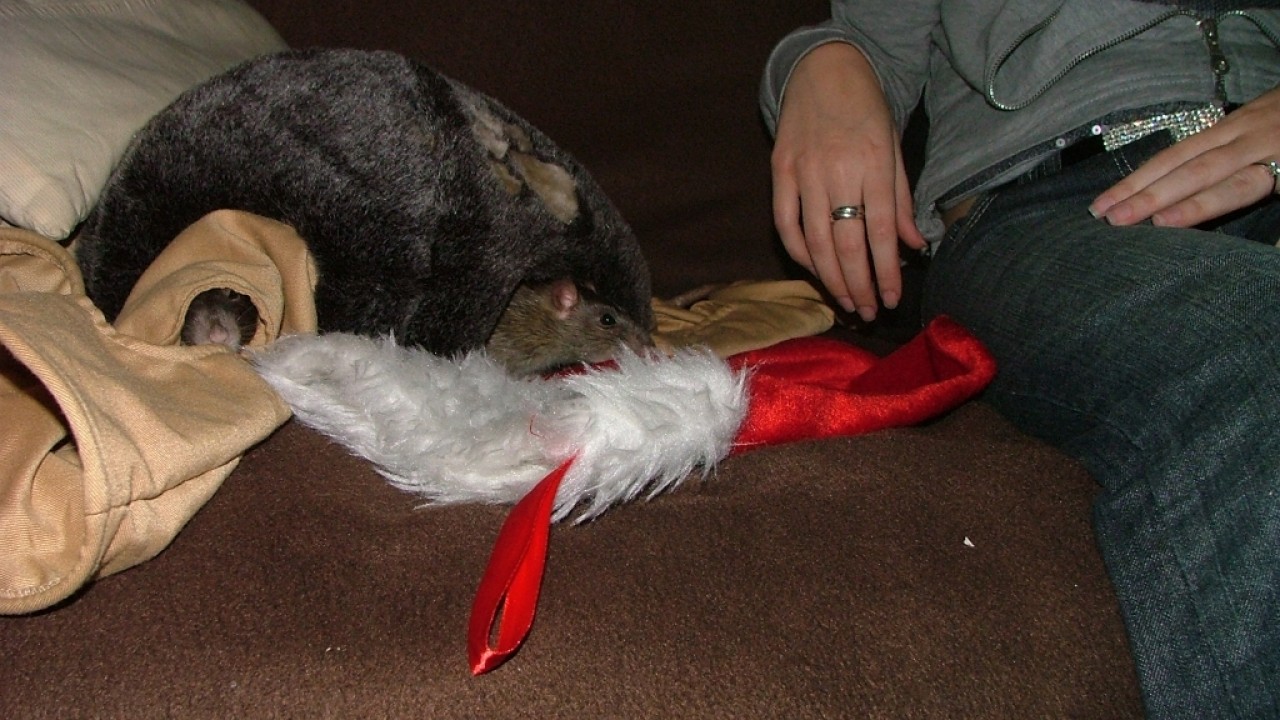 dscf5778.jpg