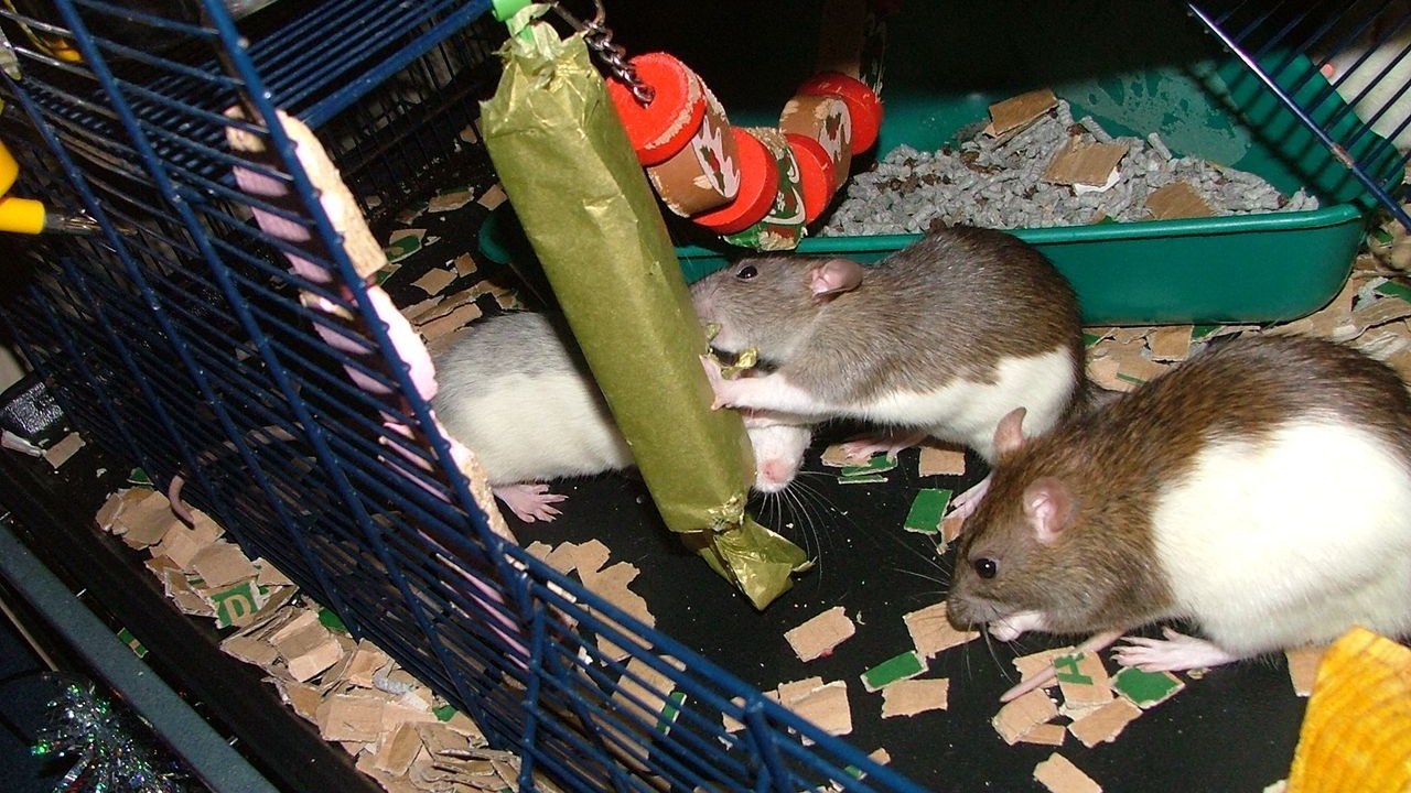 DSCF6733.JPG