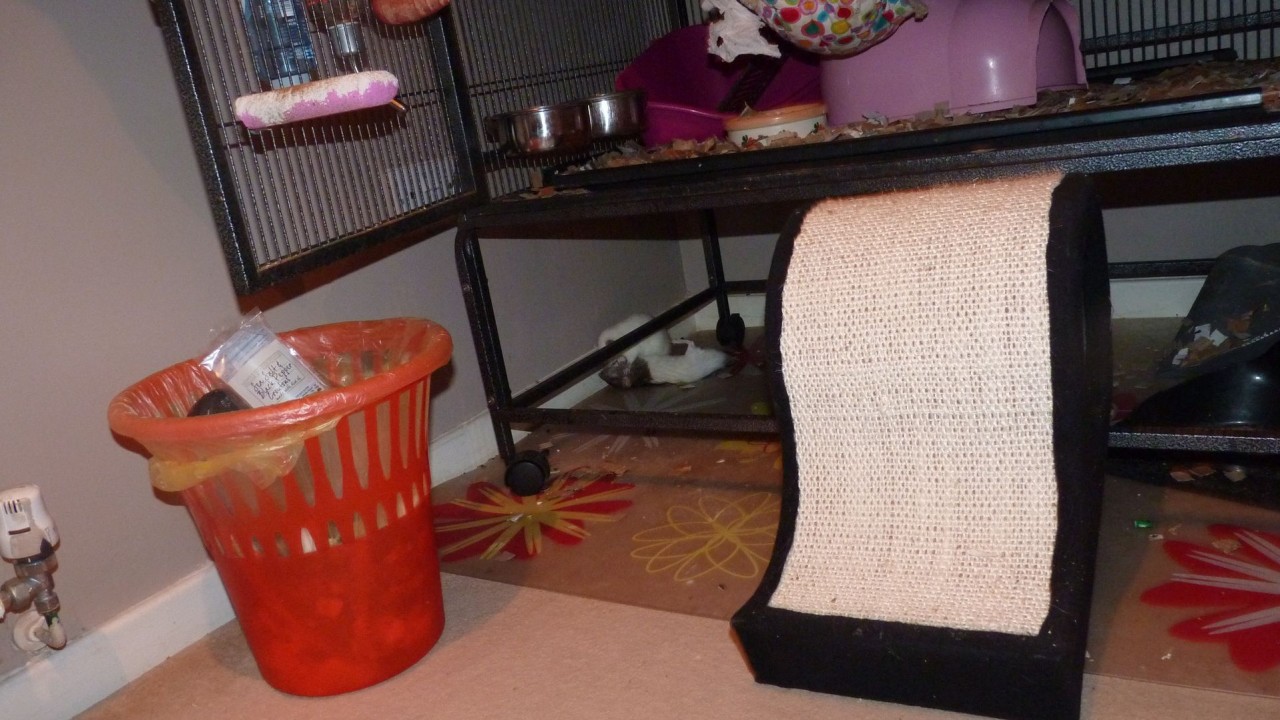 P1070477.JPG