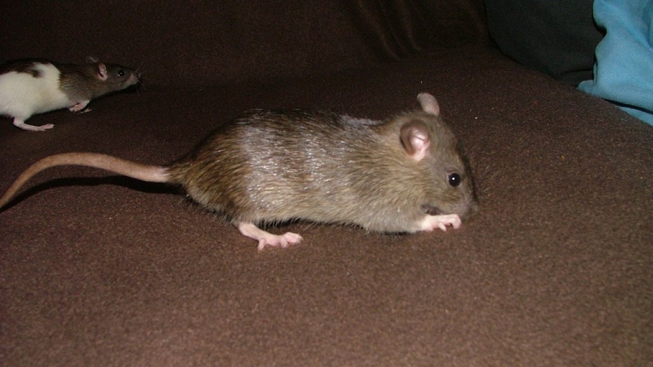 DSCF5469.JPG