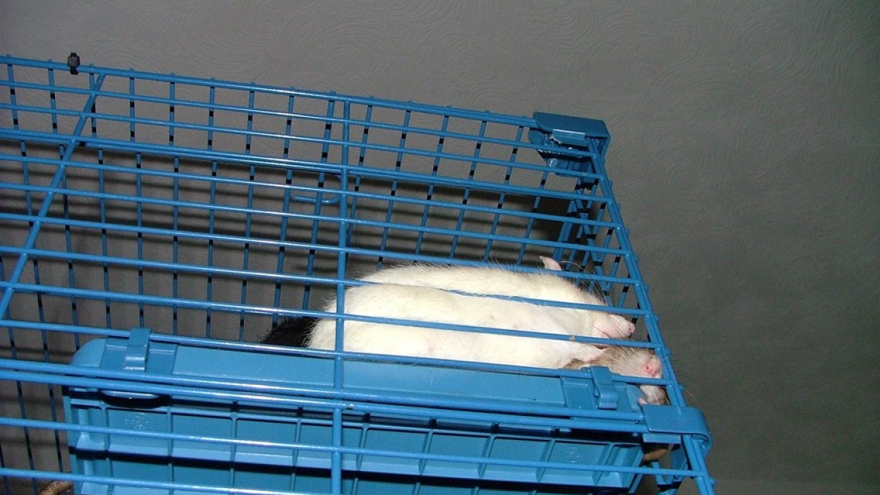 DSCF3780.JPG
