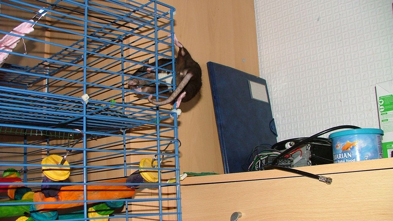 DSCF3951.JPG