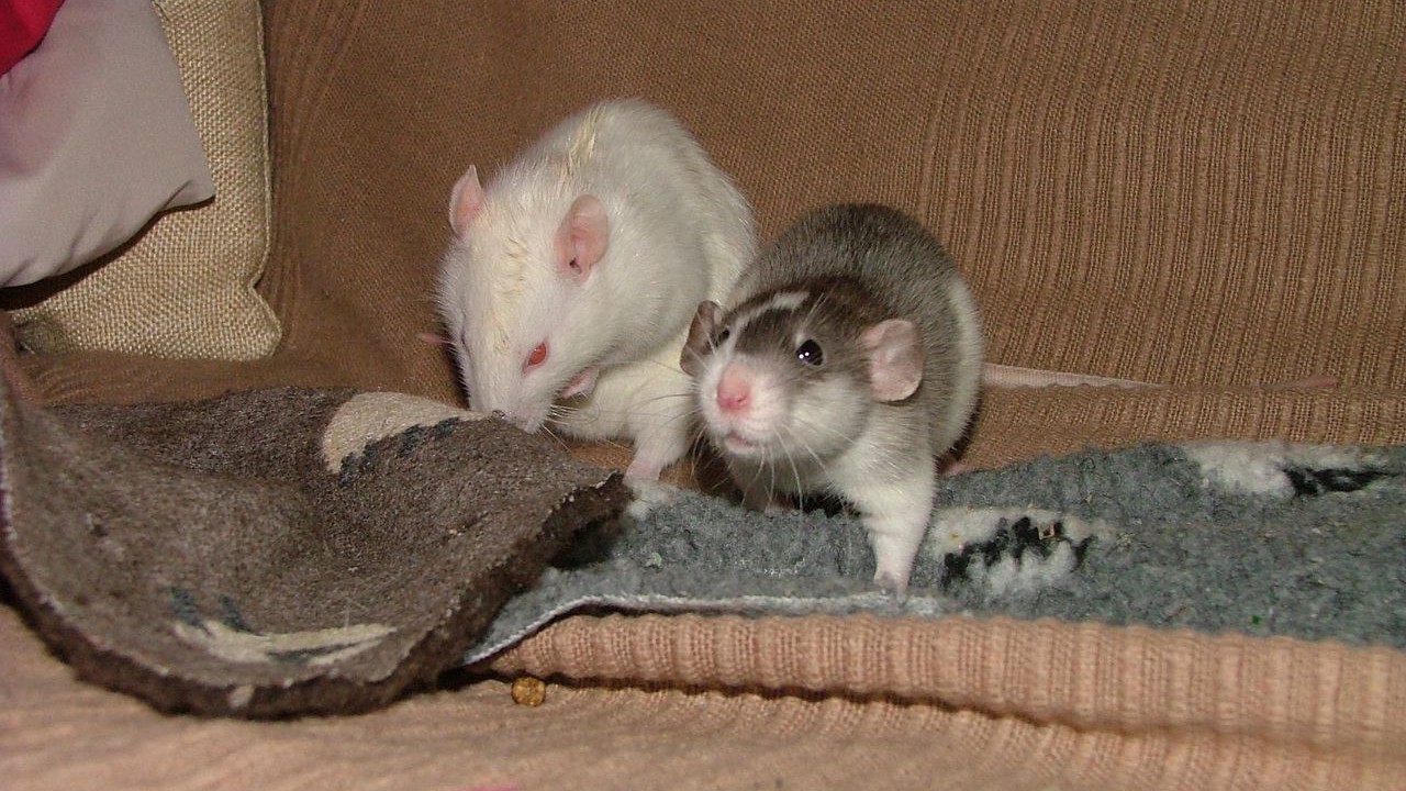 DSCF6651.JPG