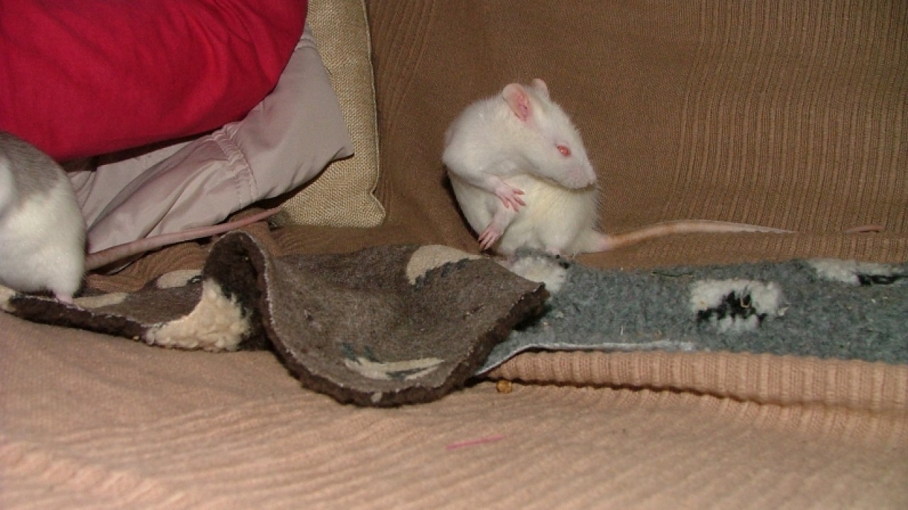dscf6648.jpg