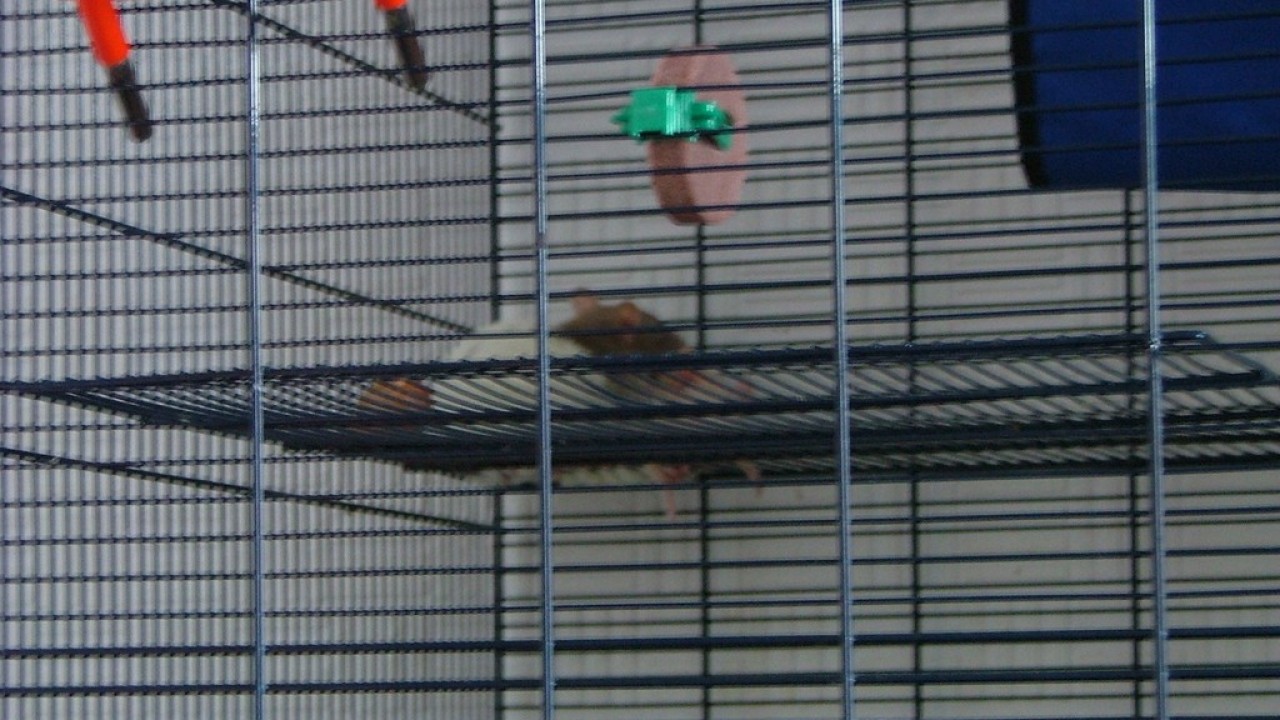 DSCF2135.JPG