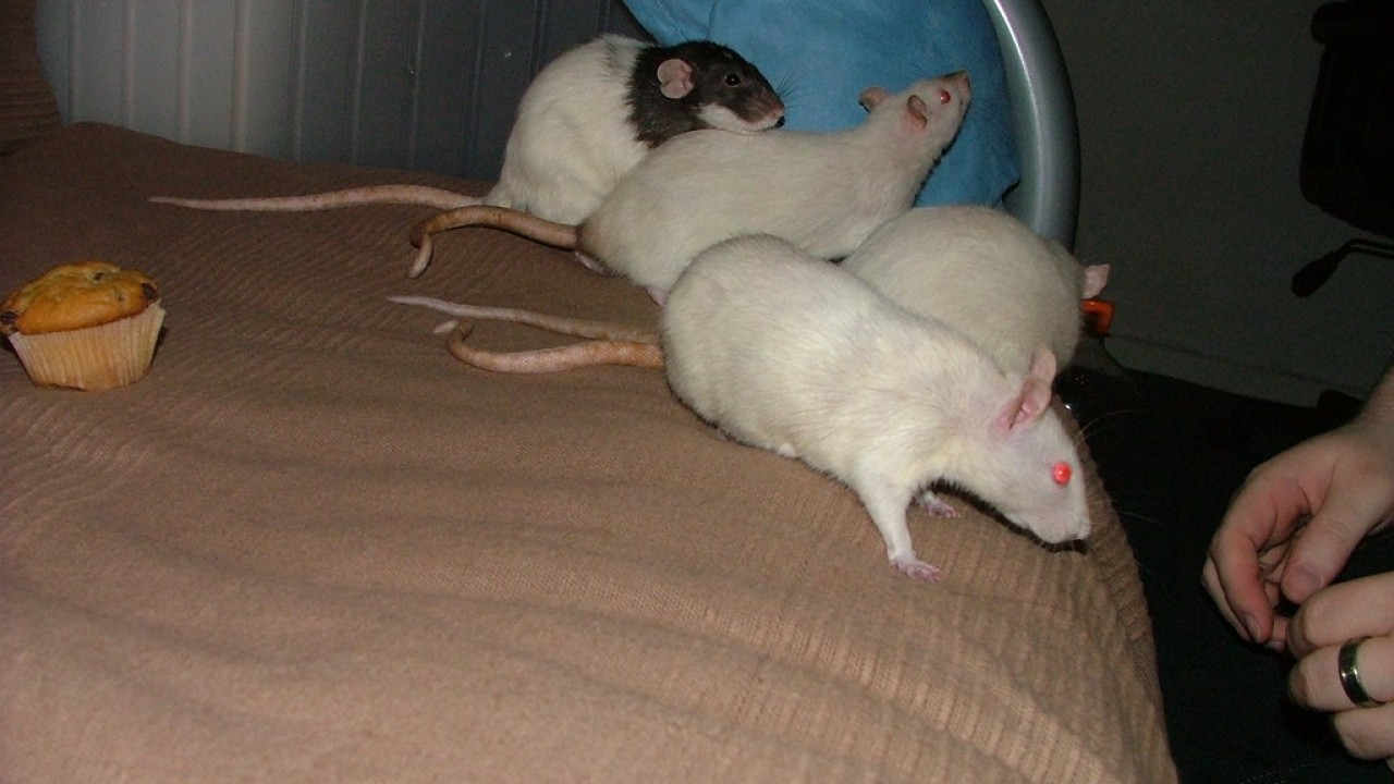DSCF4739.JPG