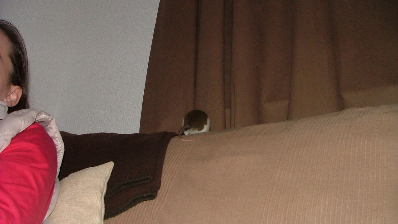 DSCF6655.JPG