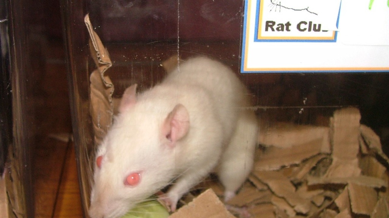 DSCF4188.JPG
