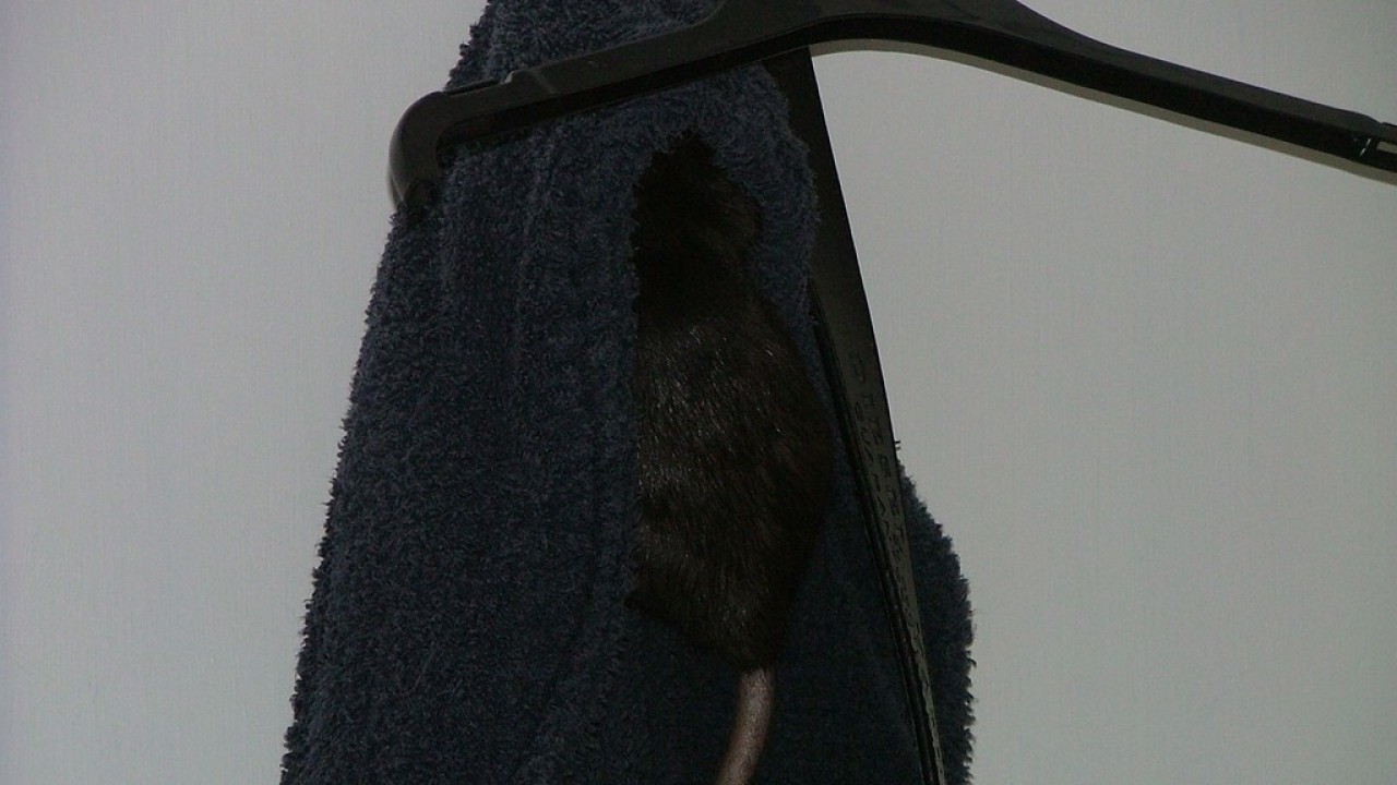 DSCF3957.JPG