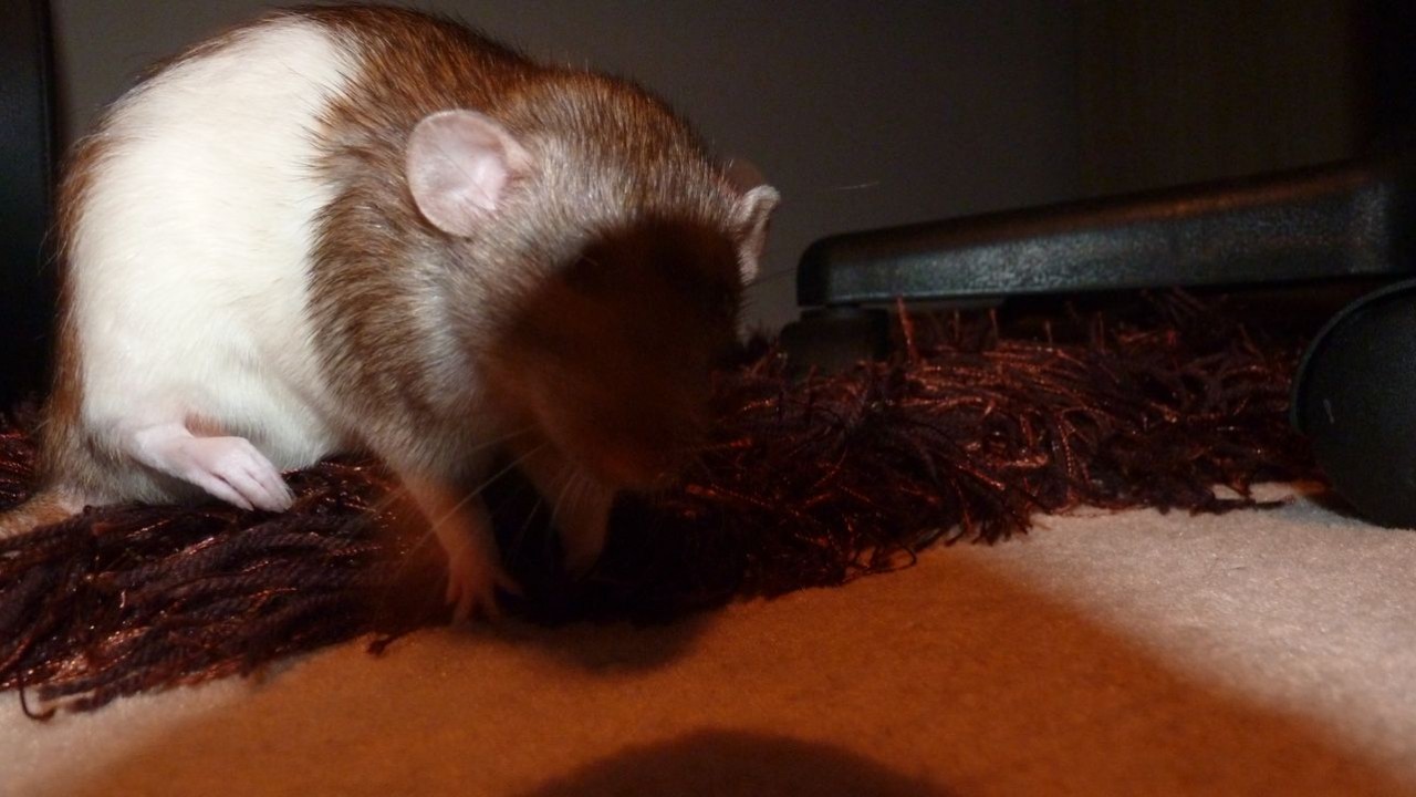 P1010357.JPG