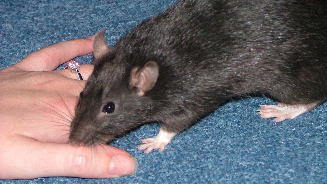 DSCF3800.JPG