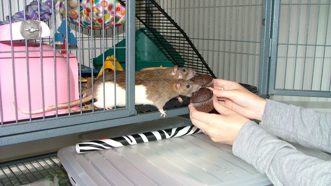 dscf6342.jpg