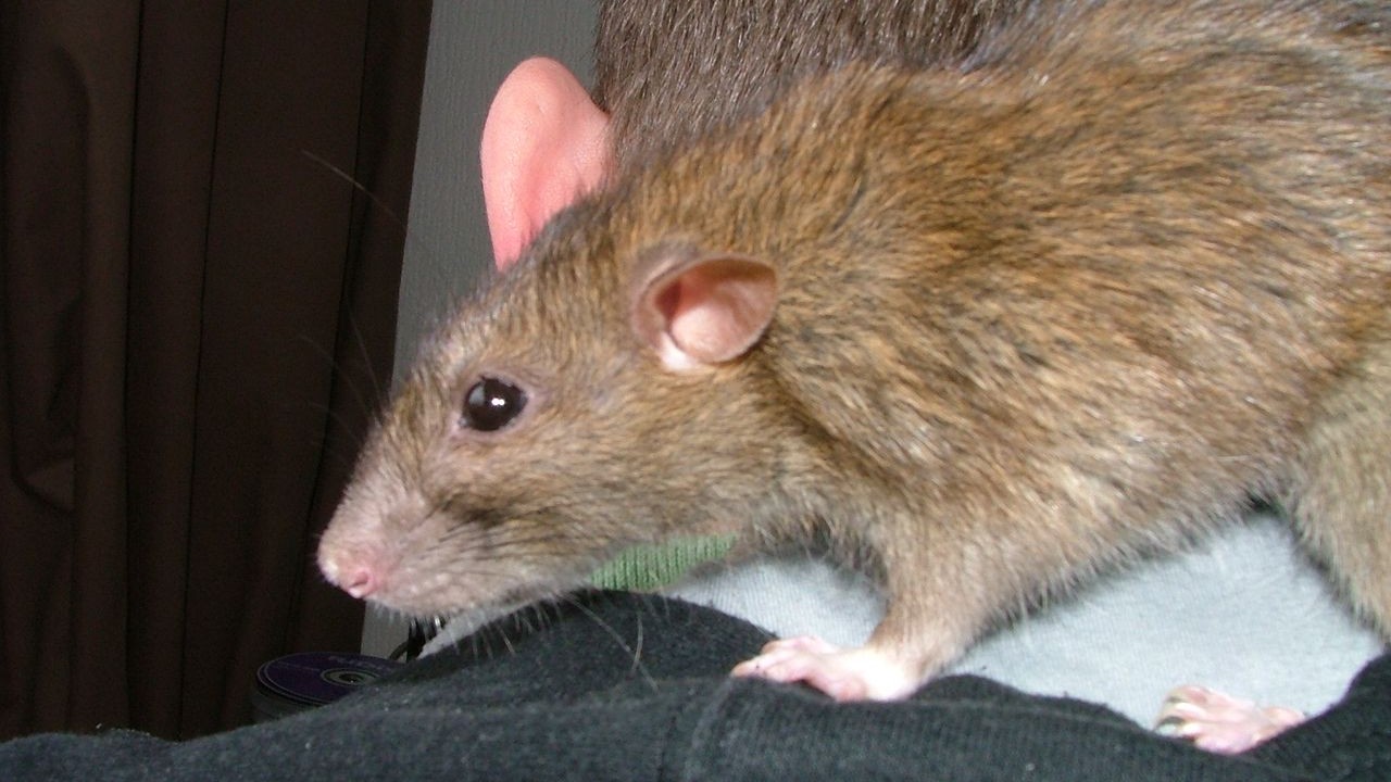 DSCF6594.JPG