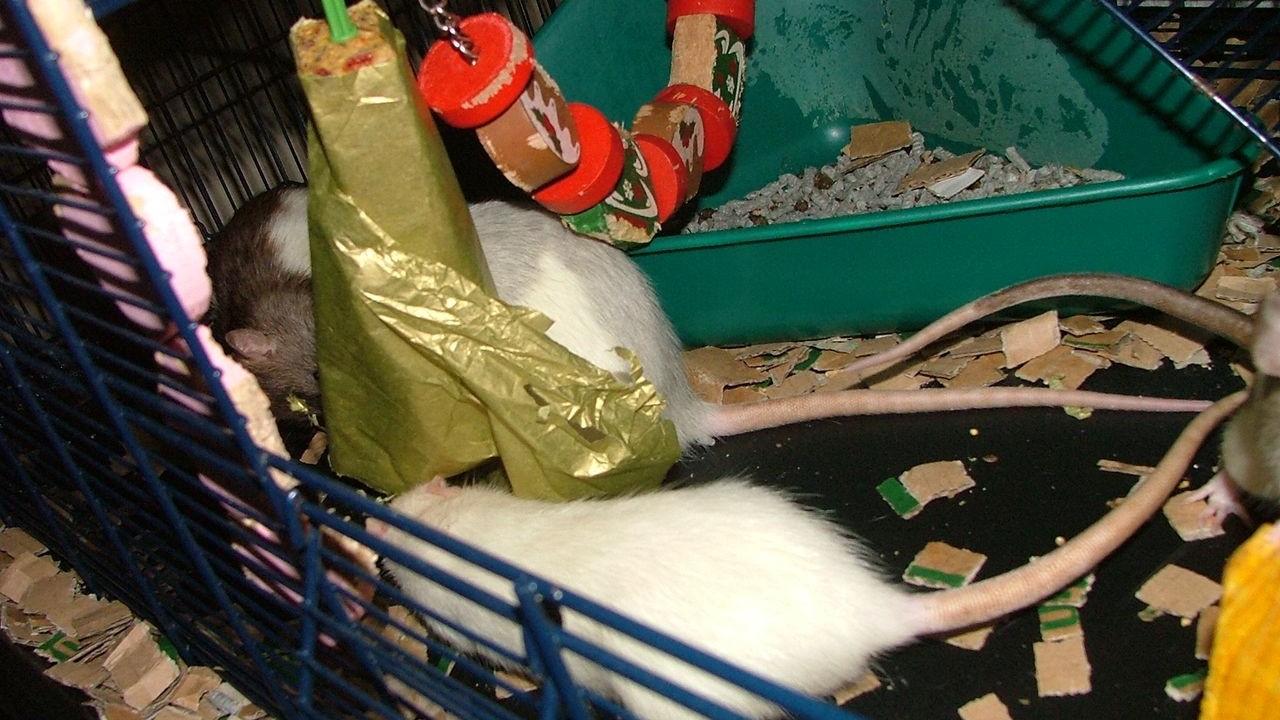 DSCF6741.JPG