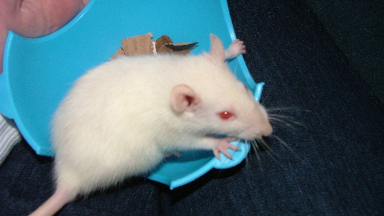 DSCF3812.JPG