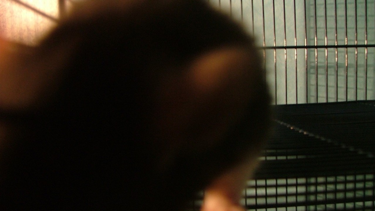DSCF1513.JPG