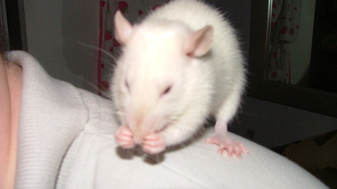 DSCF3872.JPG