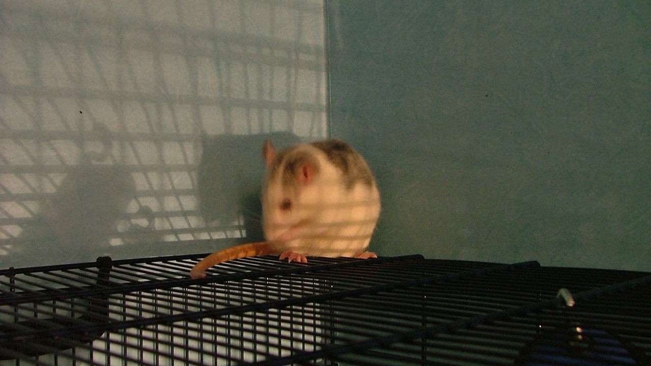 DSCF1540.JPG