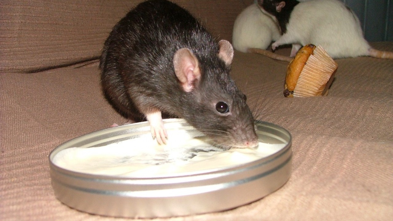 DSCF4741.JPG