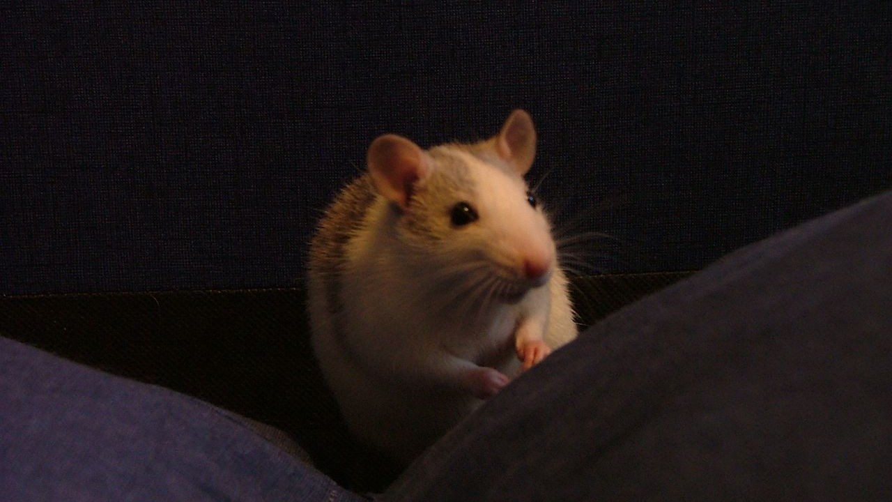 DSCF1501.JPG