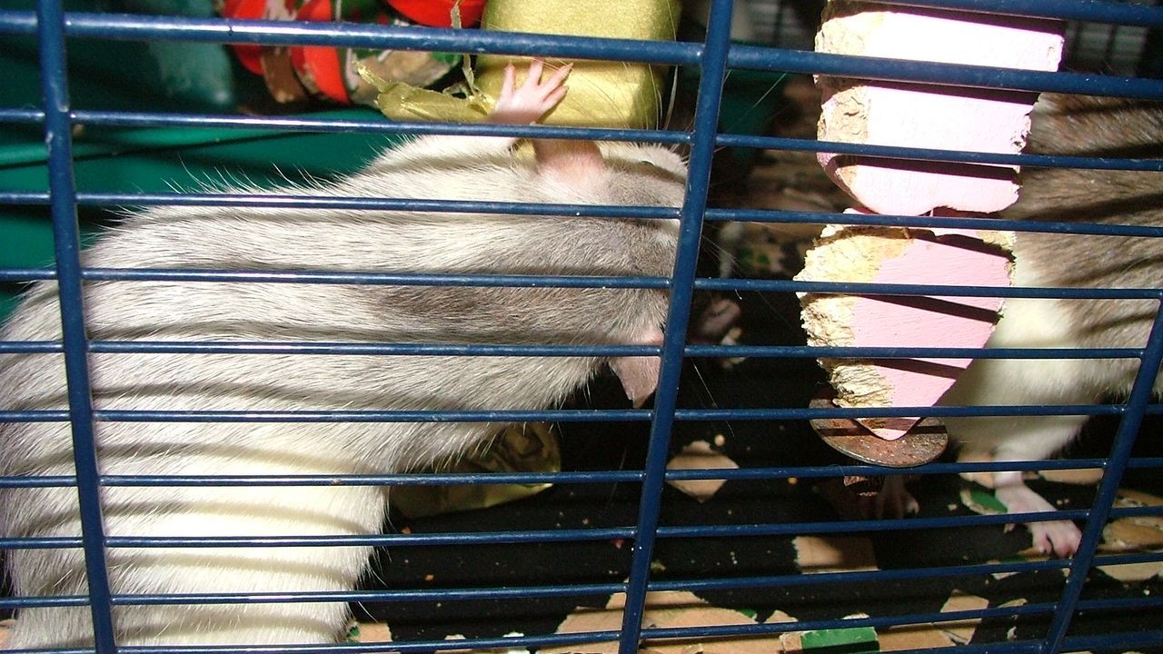 DSCF6736.JPG