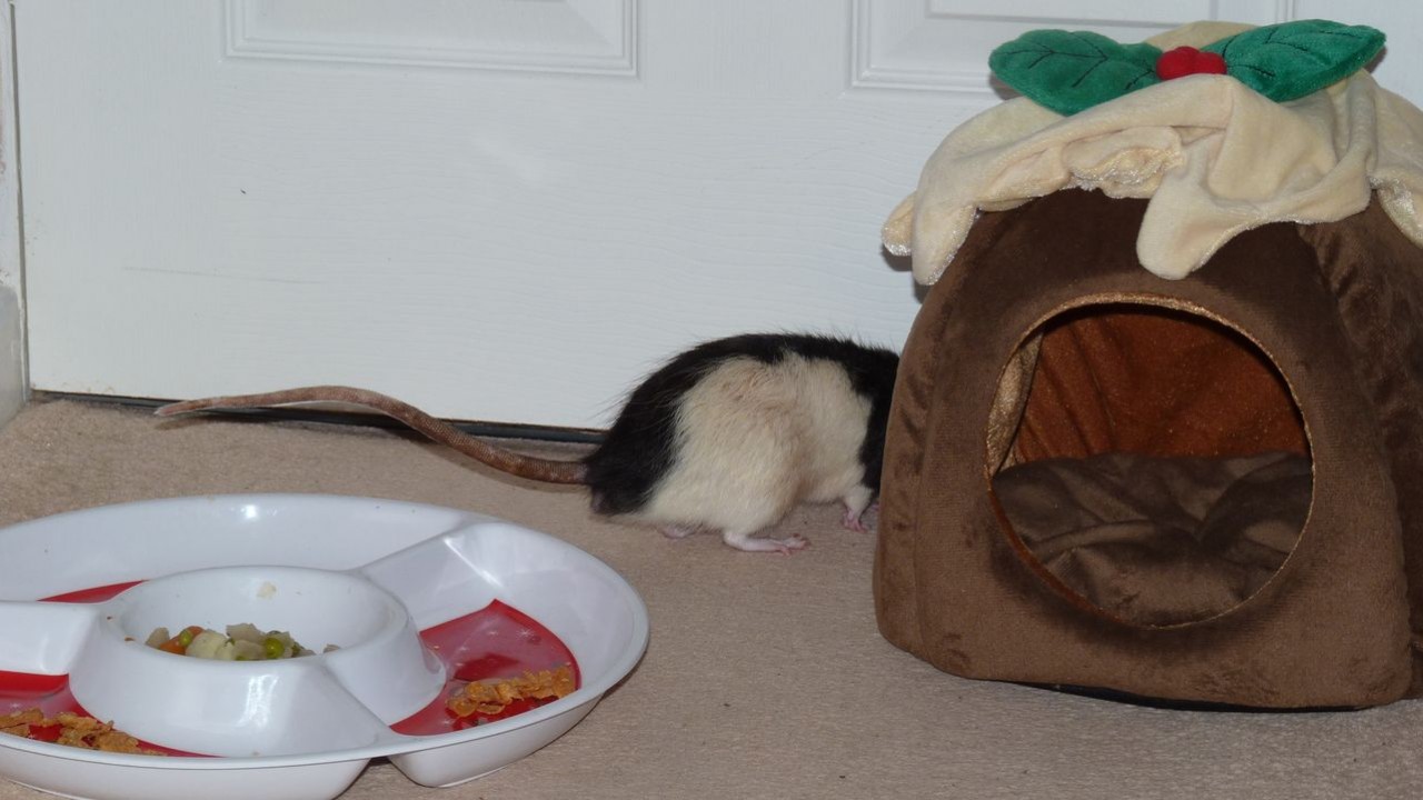 P1020566.JPG