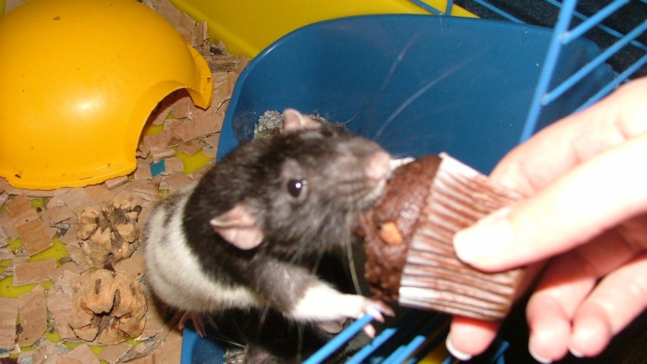 DSCF4276.JPG