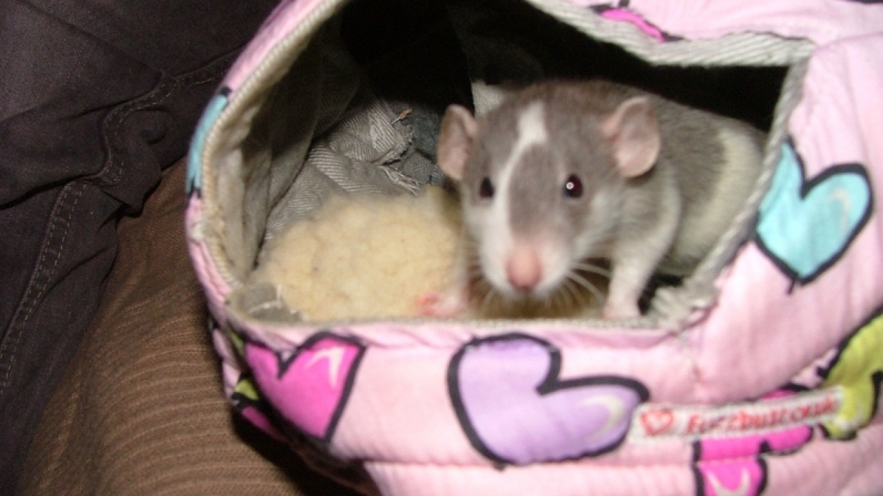 dscf6635.jpg