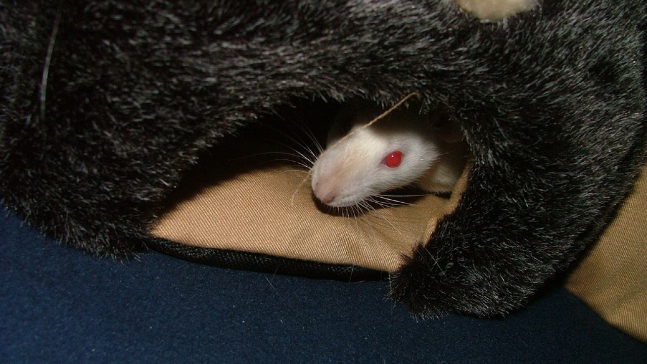 DSCF3946.JPG