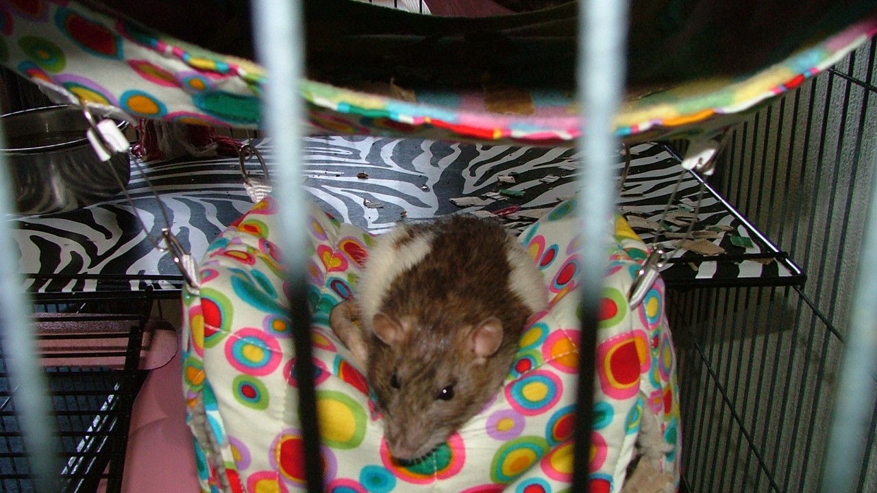 dscf6514.jpg