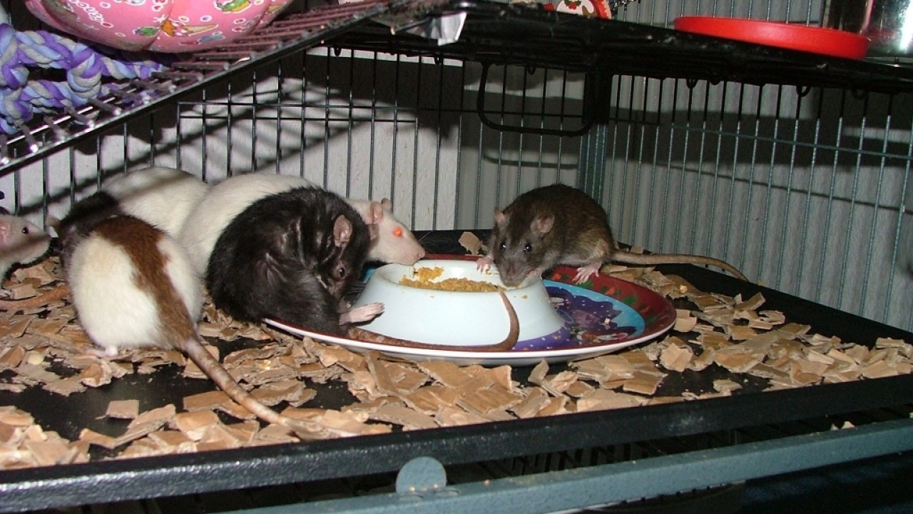 dscf5840.jpg