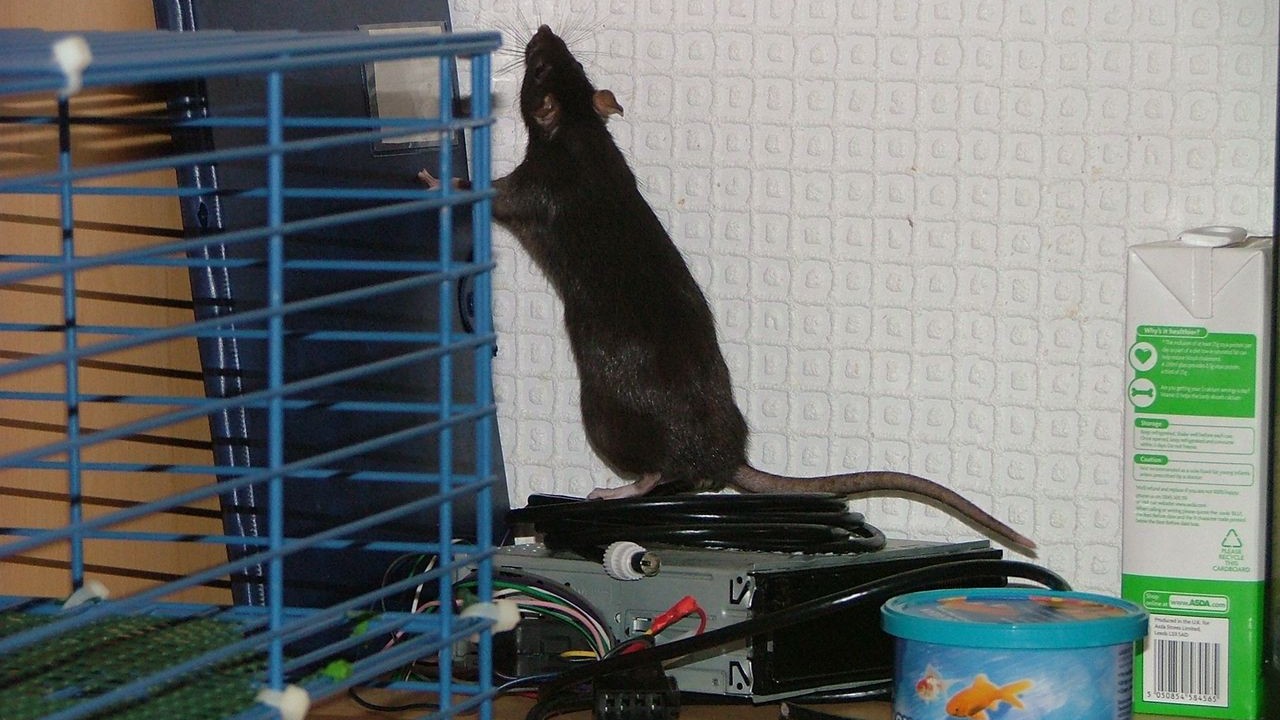 DSCF3959.JPG