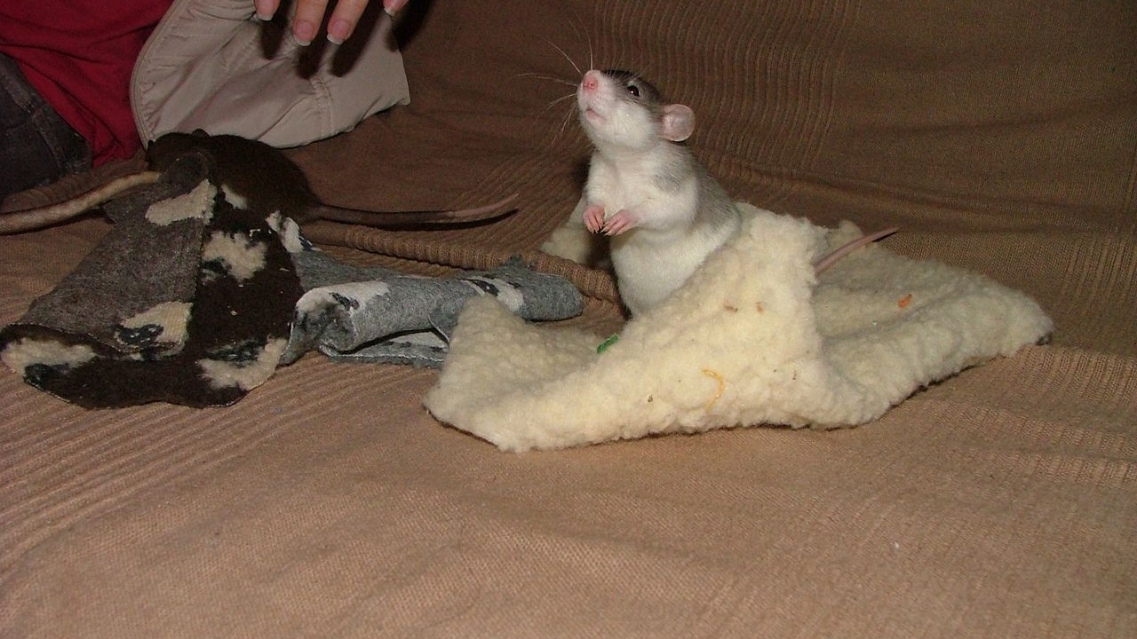 DSCF6641.JPG