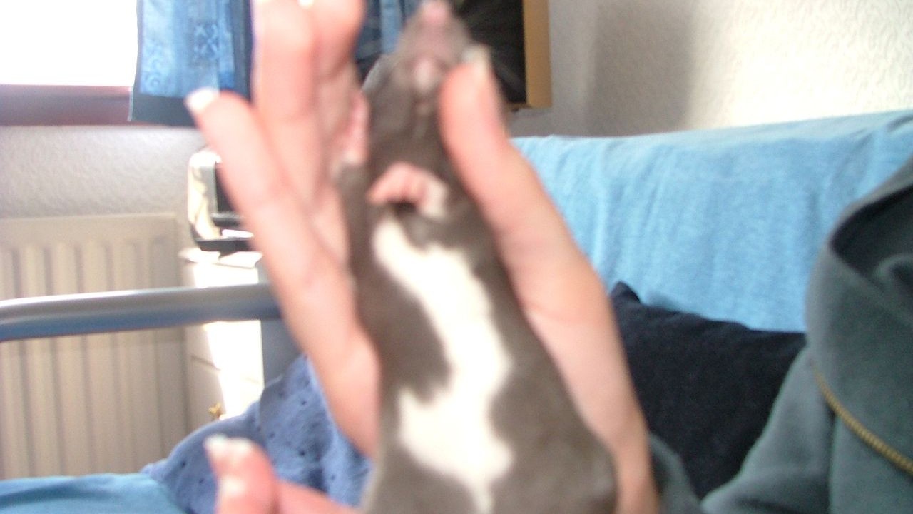 DSCF3658.JPG