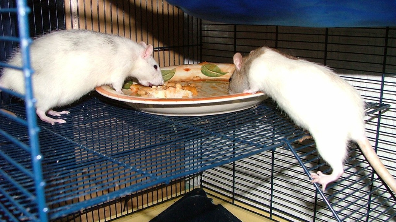 DSCF2977.JPG