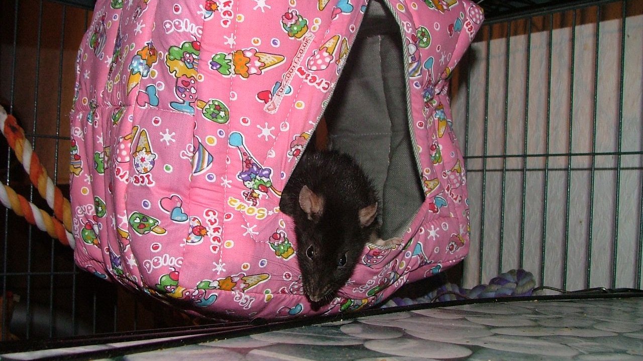 DSCF5649.JPG