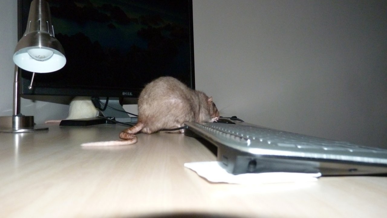 p1000905.jpg