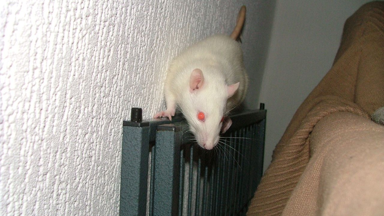 DSCF6767.JPG