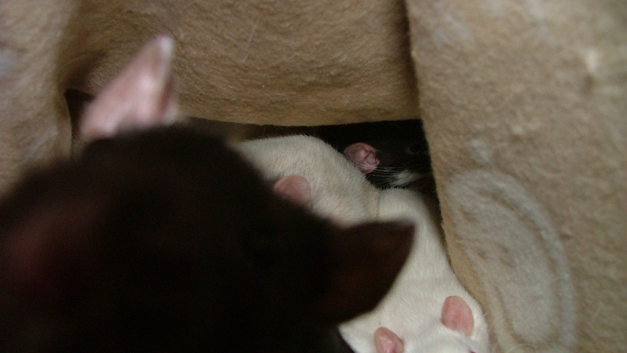 DSCF4016.JPG