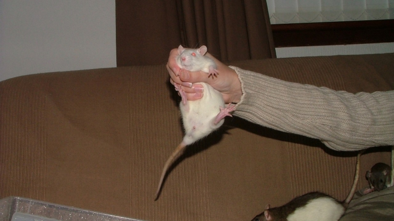 dscf6665.jpg