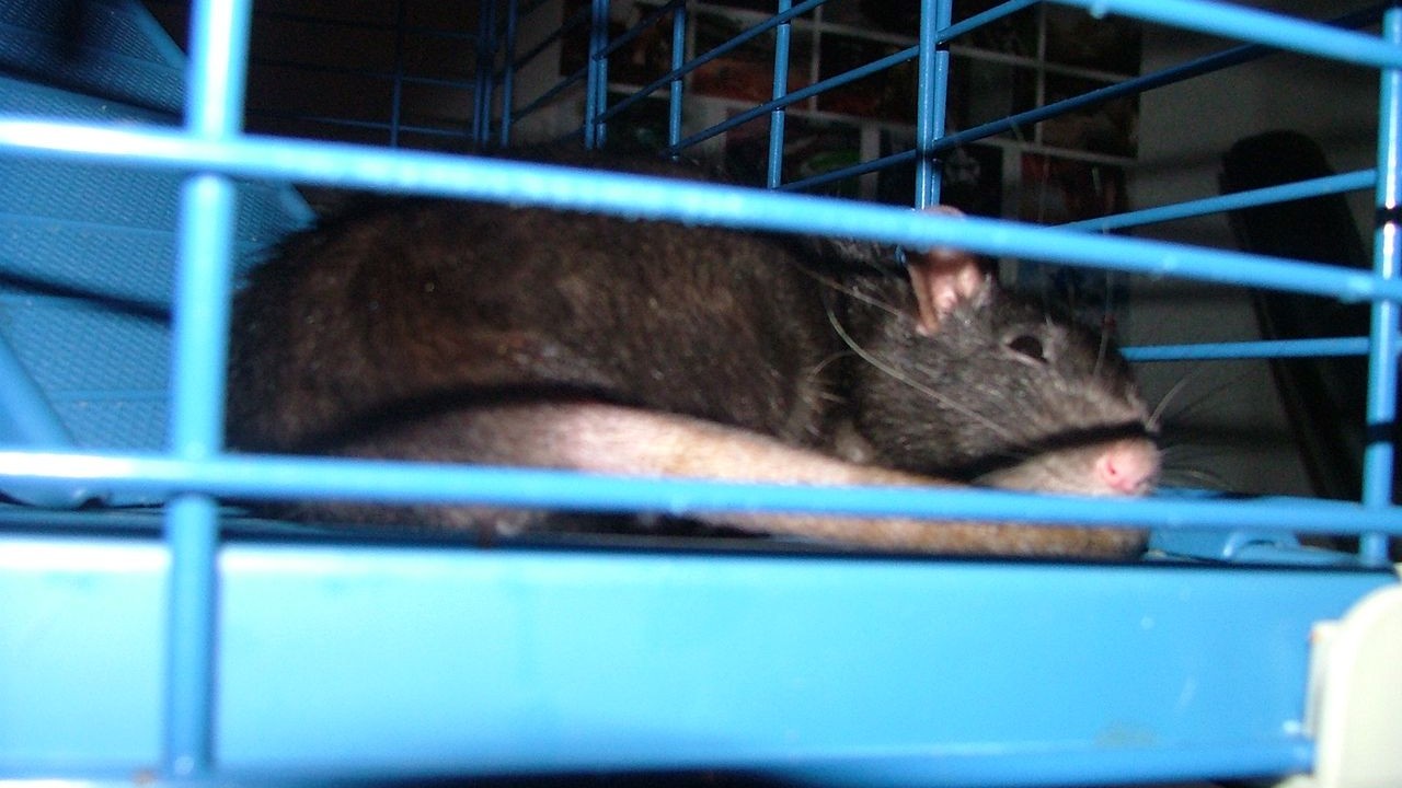 DSCF3778.JPG