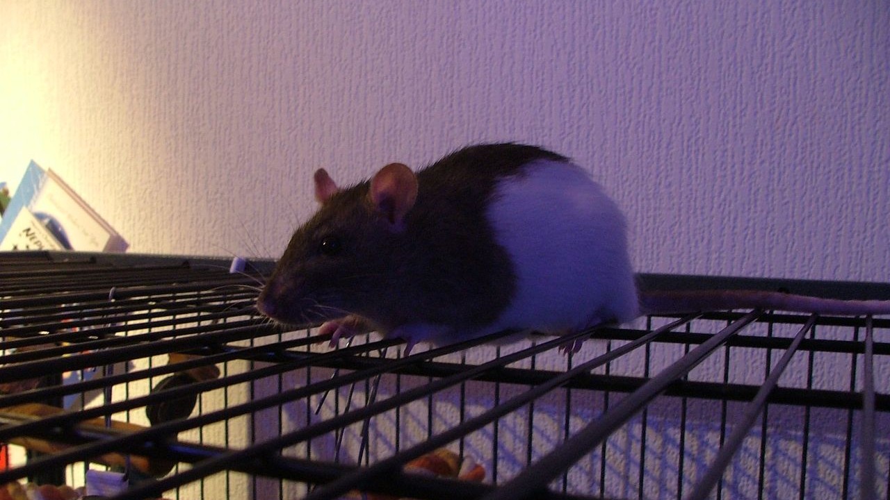 DSCF6701.JPG